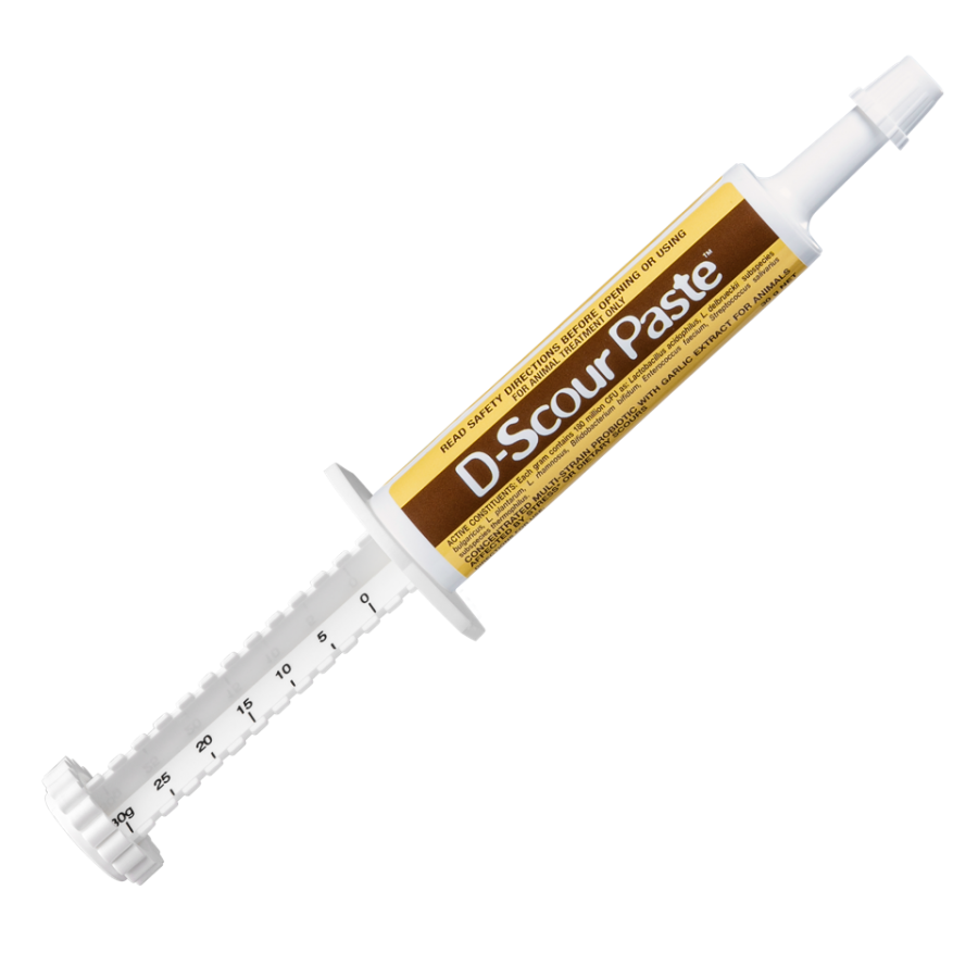D-Scour Paste