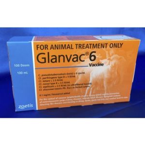Glanvac 6 - 100ml