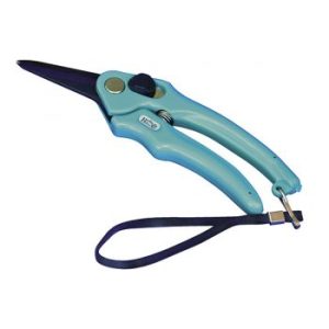 Toenail Clipper - B&B